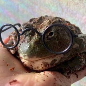 Profile photo of Всеволод Жабинковский<span class="bp-verified-badge"></span>