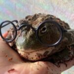 Profile photo of Всеволод Жабинковский